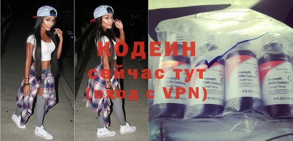 хмурый Арсеньев