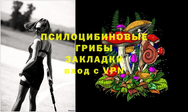 гидра Алексин