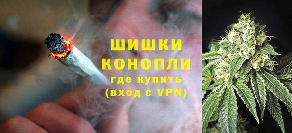 хмурый Арсеньев
