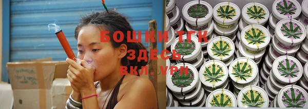 дживик Аркадак