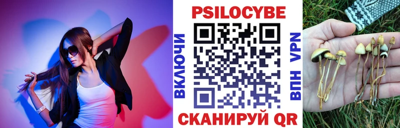 купить   Куйбышев  Галлюциногенные грибы Cubensis 