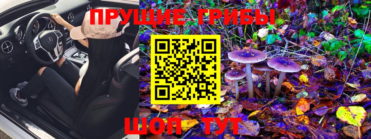Псилоцибиновые грибы Magic Shrooms  Вход с VPN  Куйбышев  Псилоцибиновые грибы Magic Shrooms 