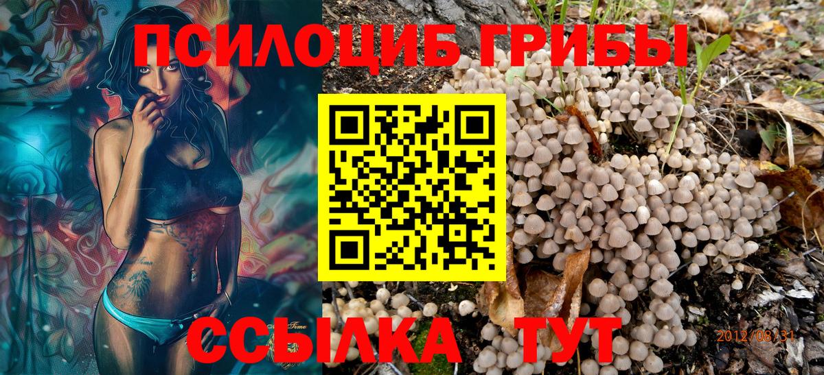 Псилоцибиновые грибы Psilocybine cubensis Куйбышев